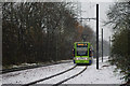 Tram Arriving at Phipps Bridge Tram Stop