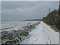 Footpath near The Groves