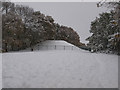 TQ8393 : Plumberow Mount in the winter. by Ken Moore