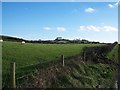 Sheep pastures alongside the Commons Road