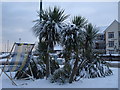 Roundabout in Southbourne