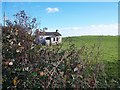 An old cottage south of the Blackstaff Road