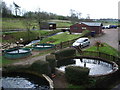 New Mills Trout Farm