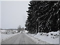 Wintry road, Aberbothrie