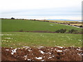 Field at Higher Deer Park Farm