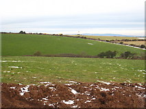 SW7546 : Field at Higher Deer Park Farm by Rod Allday