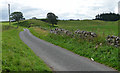 Country road near Wooperton (2)