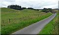 Country road near Wooperton (3)