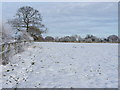 Footpath near The Homestead