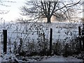 Winter scene, Creevenagh