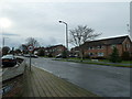 Lamppost in Aldsworth Avenue