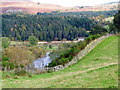 Pasture, Kincraigie