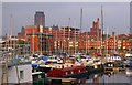 Boats in the marina