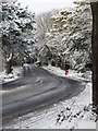 Talbot Woods: Glenferness Avenue in snow