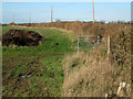 ST5427 : Field edge near Charlton Adam by Ken Grainger