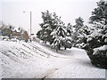 TQ8010 : Snowy path through Alexandra Park by Oast House Archive