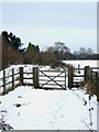 Bridleway Gate