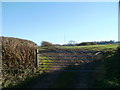 Field entrance, Ty Fry Farm, St George