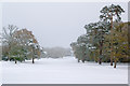 Reigate Heath in snow