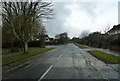 Approaching the junction of Ashurst Drive and Arlington Avenue