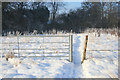 Squeeze stile near Willey Wood Farm