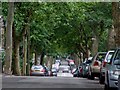 Western Road, Crookes