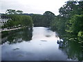 SD3686 : River Leven from Newby Bridge by Alexander P Kapp