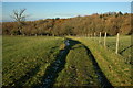 Track below Vineyards Farm