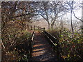 Llwybr Ynys Dawela Footpath