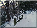 Footpath in Westwood, Ebchester