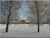 H4672 : Frosty trees, Tyrone County Hospital grounds by Kenneth  Allen
