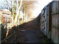 Wooden fence alongside Ringland Way, Newport