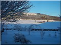 Benarty Hill from Kinnaird