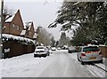 A snow covered Albury Road