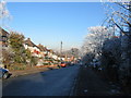 Glendower Avenue, Whoberley