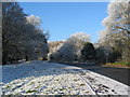 Broad Lane, Hearsall Common