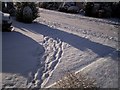 Footprints in the snow