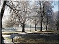 SP2872 : Frost on avenue of trees leading to swimming pool by John Brightley
