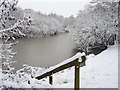 Nea Lake in the Snow