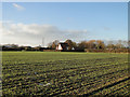 Cottage near Willow tree Farm, Ilketshall St Andrew