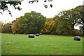 Wrapped bales, Ashburnham Forge Lane