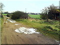 View along an icy Thame Lane