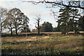 SP1774 : Derelict parkland, Darley Green by Robin Stott