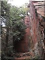 Looking up the cliff