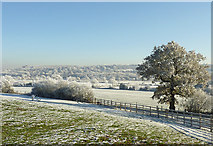 SO9095 : Farmland south of Colton Hills, Wolverhampton by Roger  Kidd