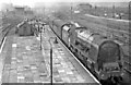 Crewe 60 years ago: a Glasgow - Birmingham express arrives, greeted by excited train-spotters