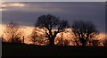 Evening scene across from lay-by, near Robeston Wathen