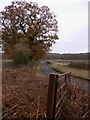 The lane to Elsted Marsh north of Treyford