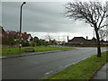 Seat by a lamppost in Alinora Crescent