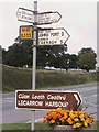 M9655 : Lecarrow, county Roscommon: turnoff down to Lough Ree by Christopher Hilton